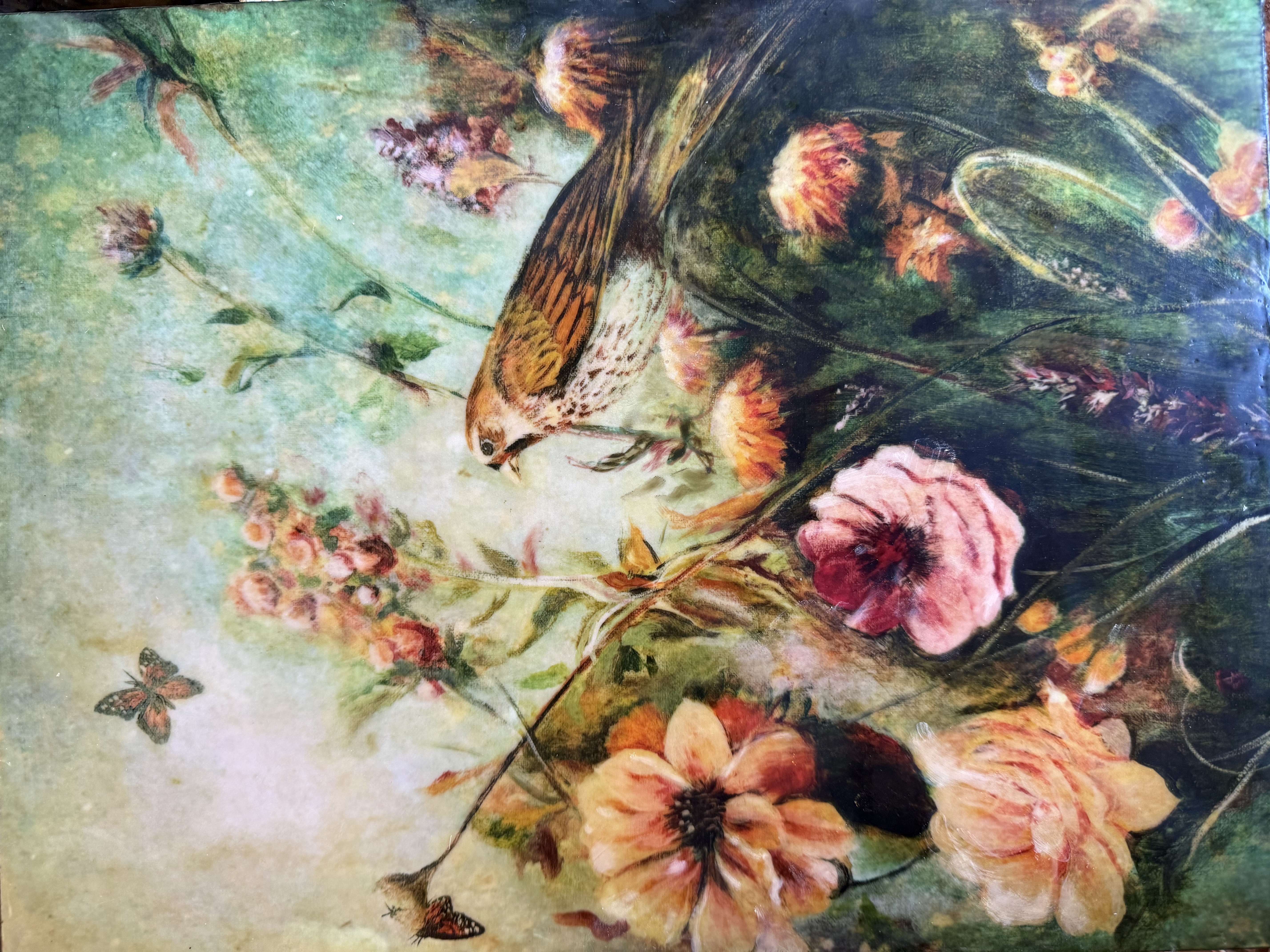 The breath of garden
