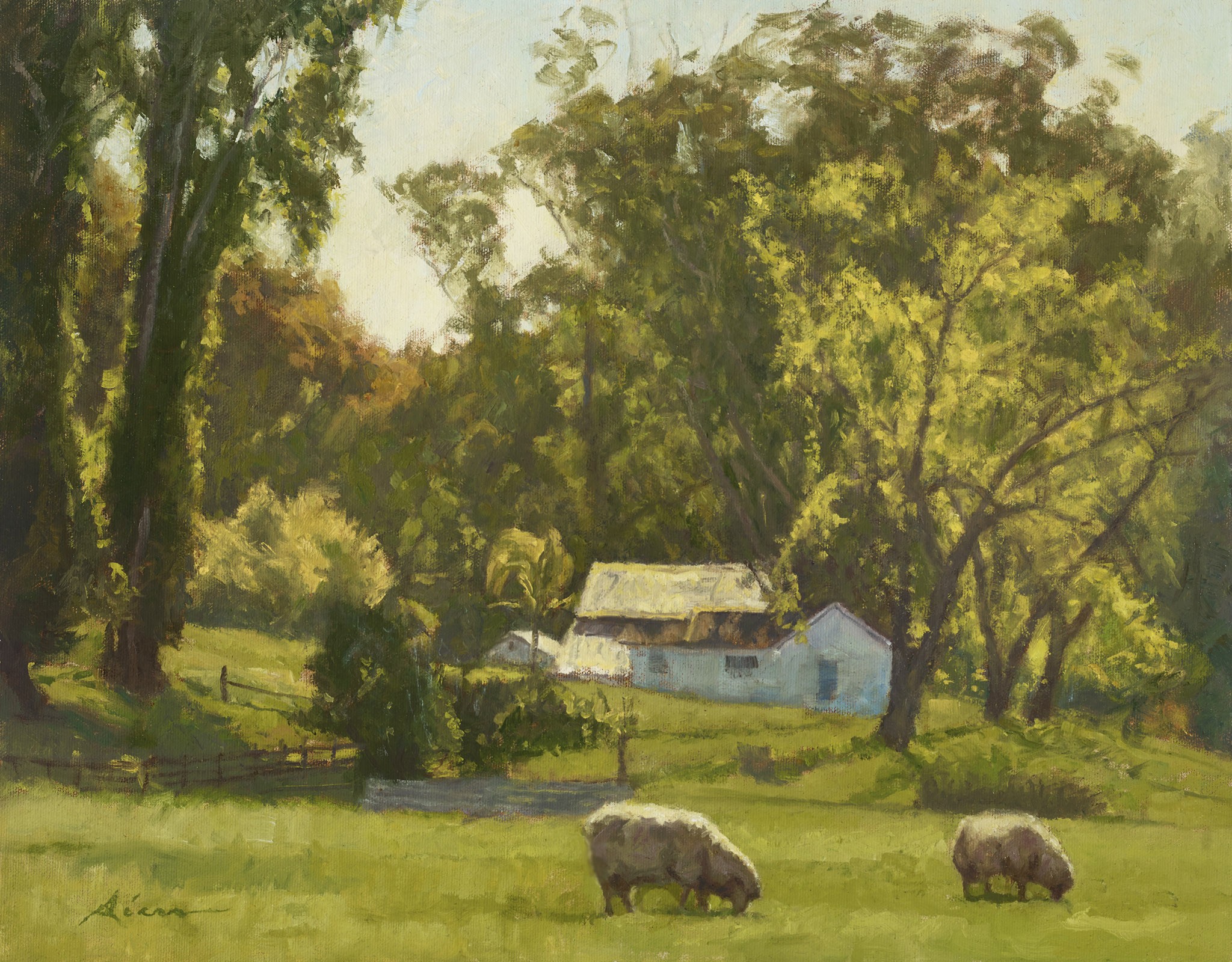 Sonoma Spring — Print
