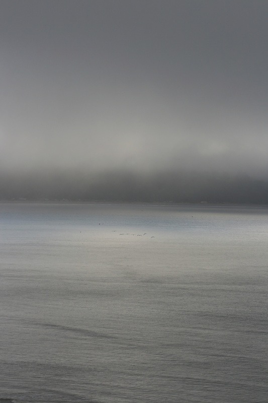Where the Sea Forgets Itself