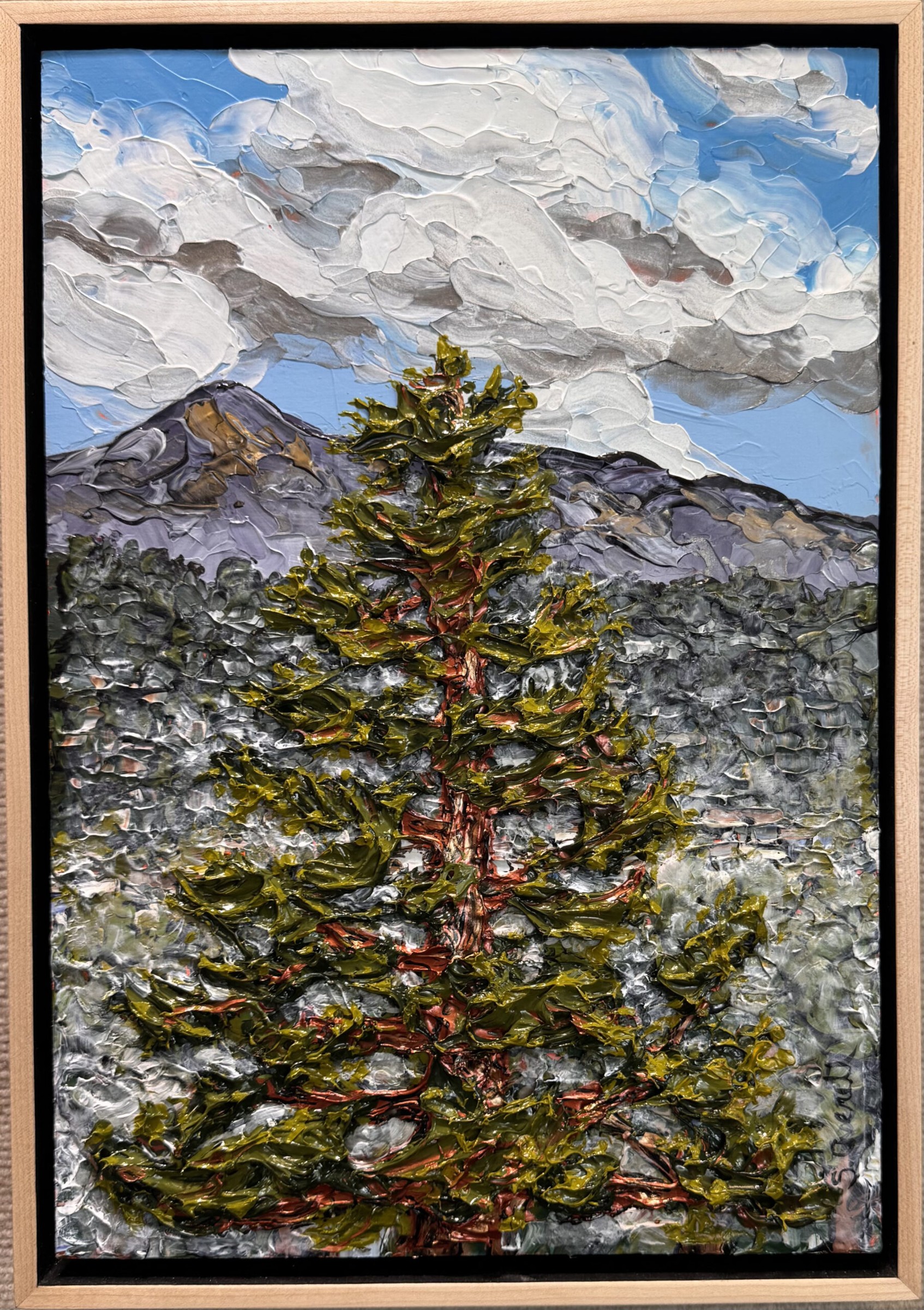 Natural Landscape 26