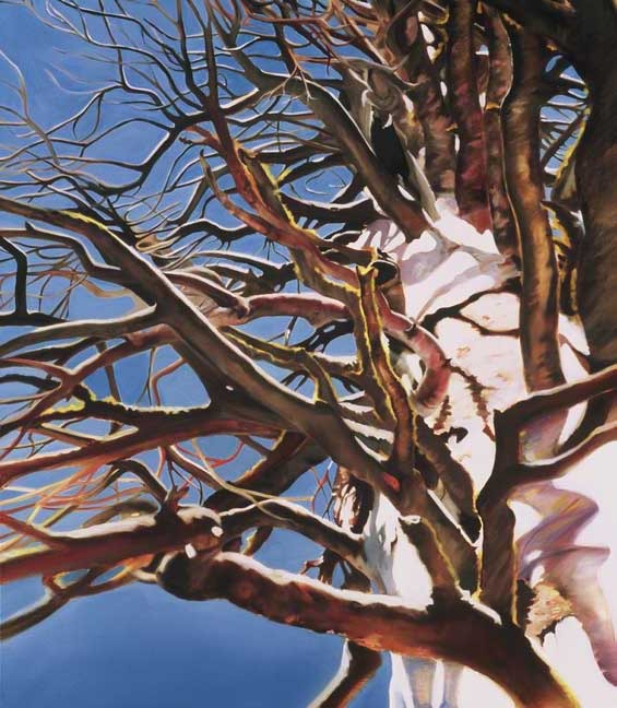 Winter Tree