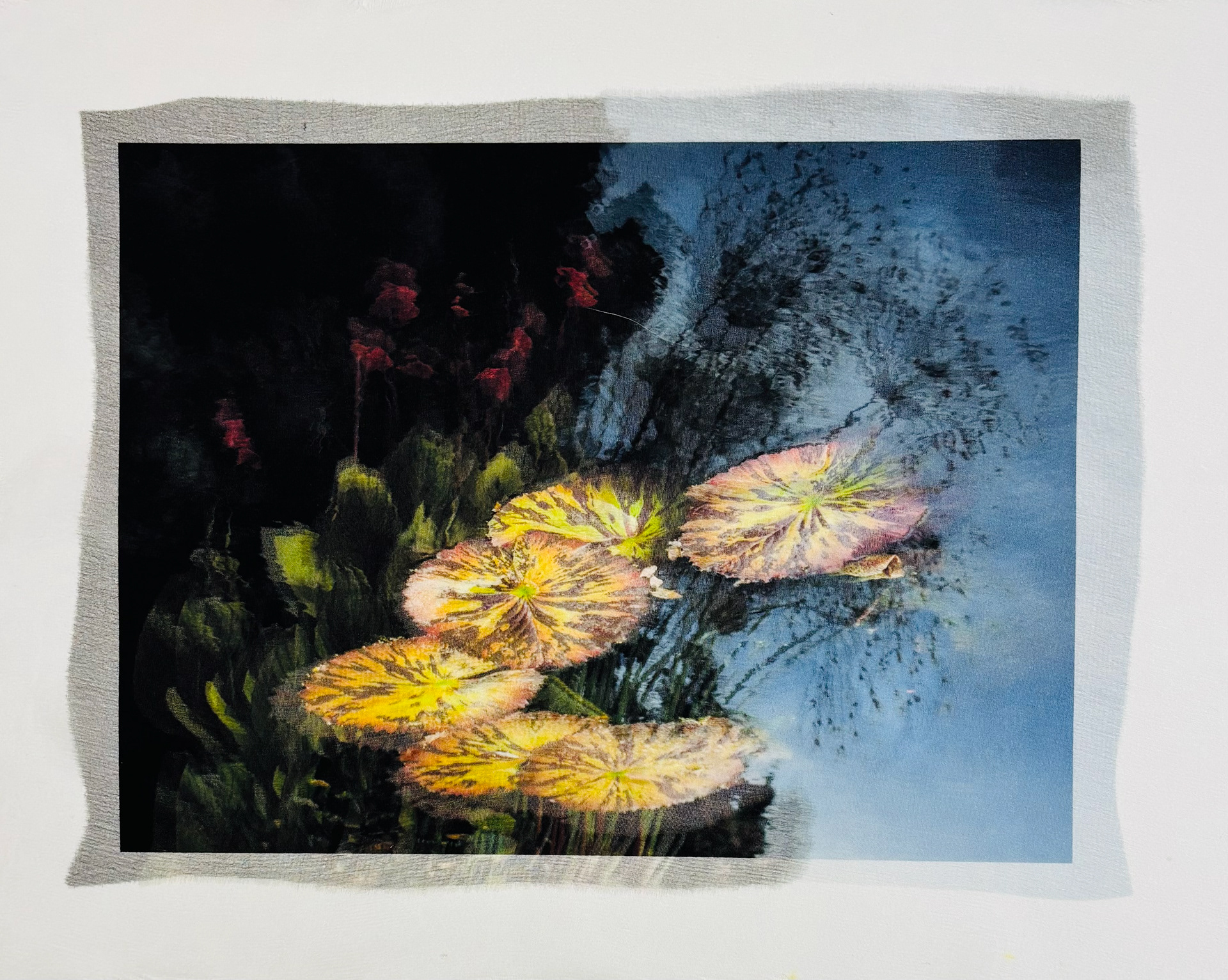 Waterlilies on Silk