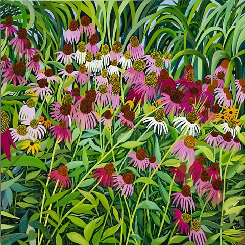 Late July Blooms