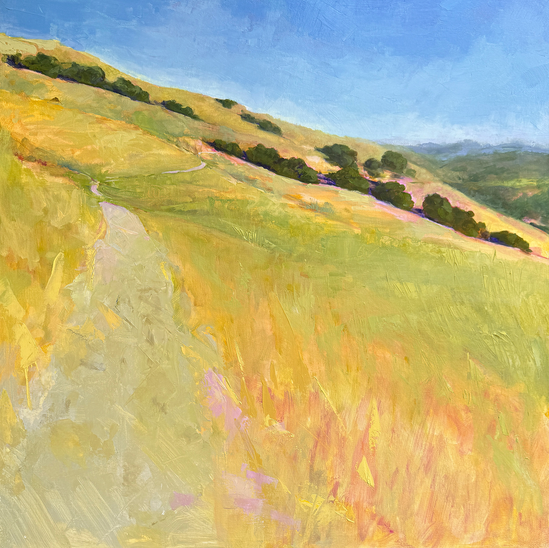 Lucas Valley Hills