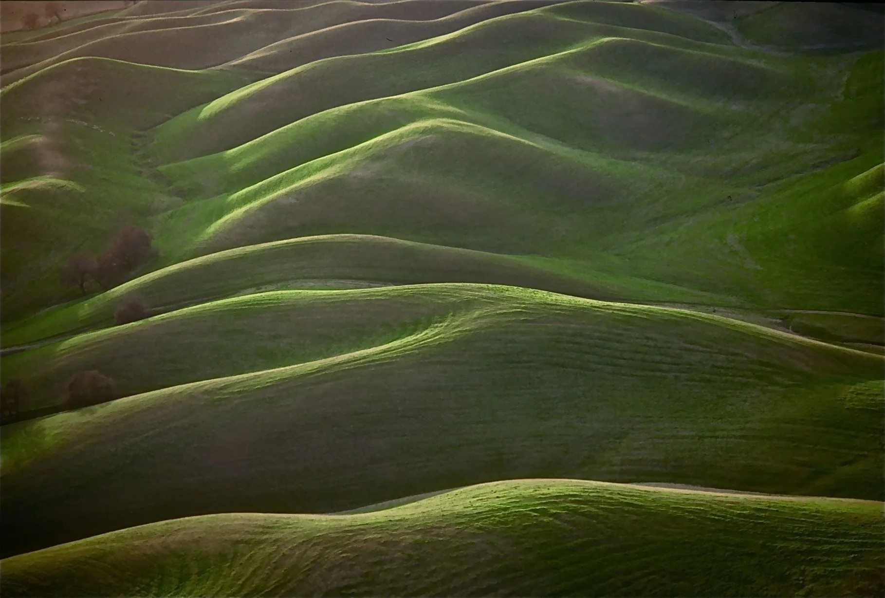 California Hills II