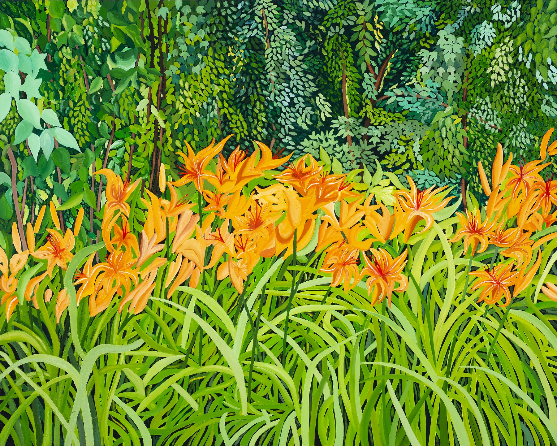 Anne's Tigerlilies