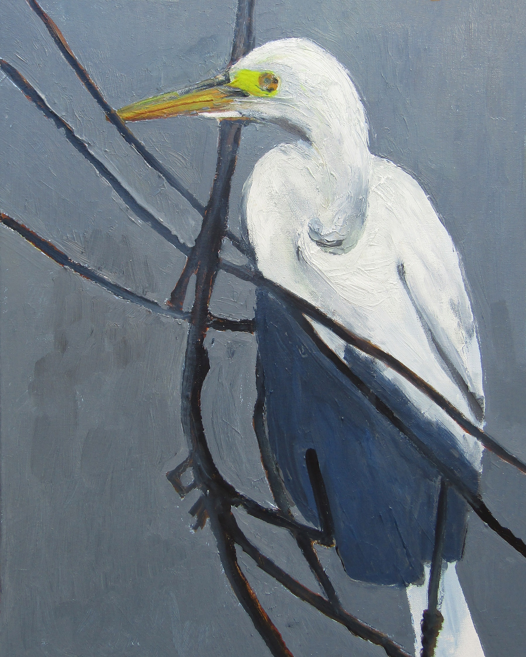 Foraging